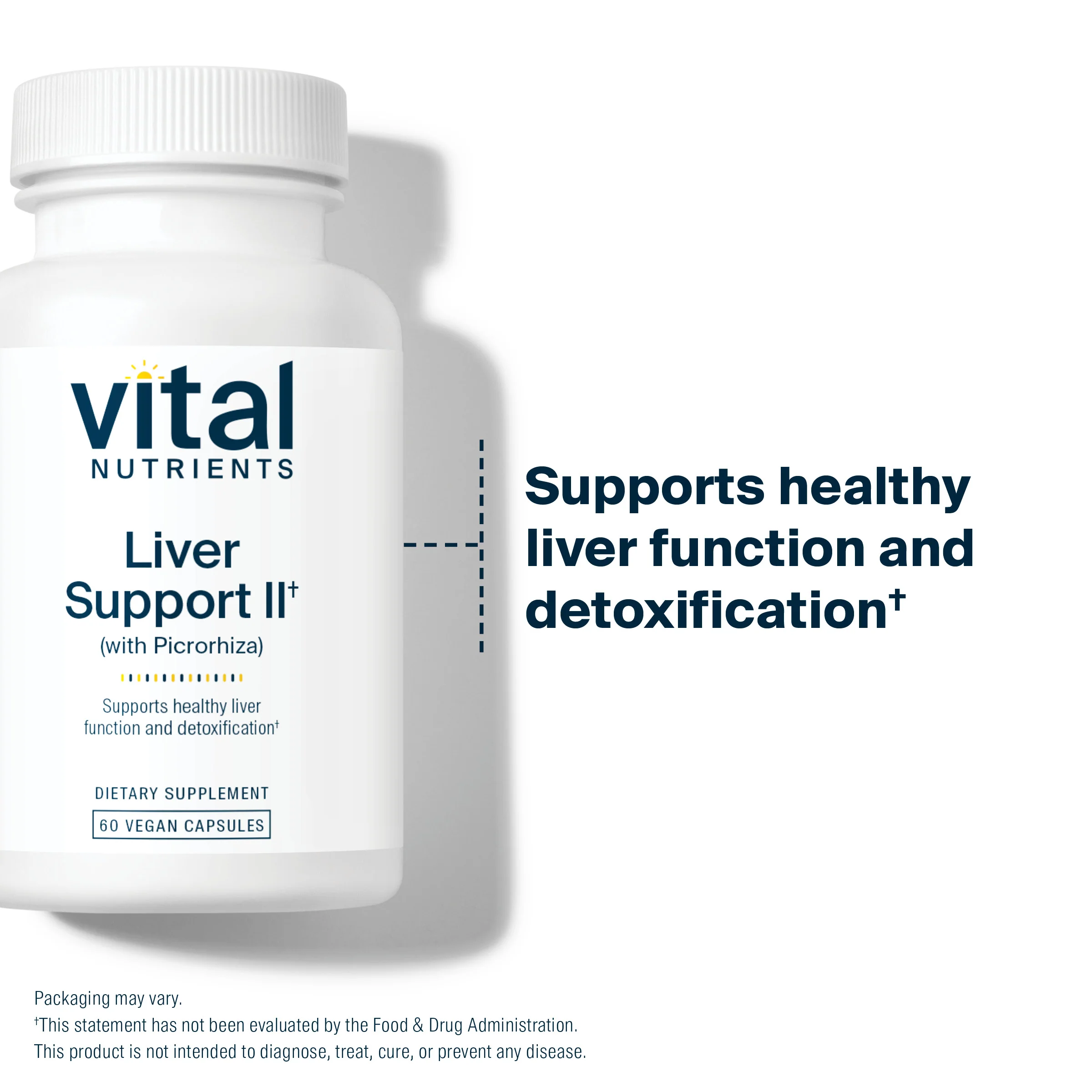 Liver Support II (with Picrorhiza) - Image 3